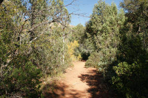 Boynton Canyon Trail