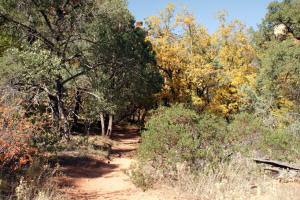 Start of Western Trail - Boynton Canyon