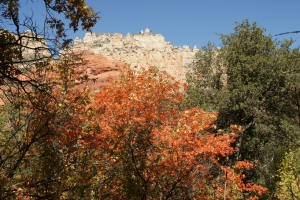 North Wall Boynton Canyon