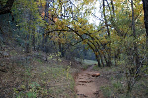 Western Trail+