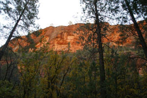 Boynton Canyon Trail