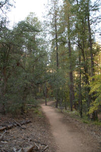 Boynton Canyon Trail