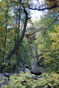 Boynton-Trail