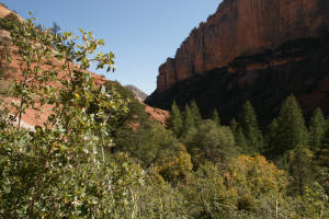 Looking Down Boynton Canyon
