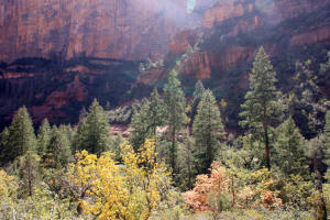 View for the top of Boynton Canyon Trail