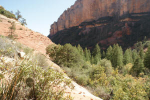View from the top of Boynton Canyon Trail