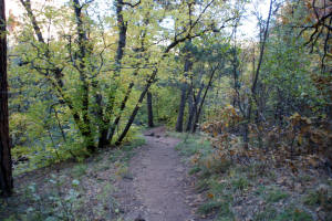Boynton Canyon Trail