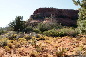 Broken Arrow Trail View to South