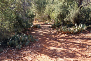 Broken Arrow Trail