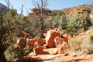 Rock Slide