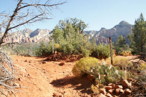 Broken Arrow Trail - Trail Divides