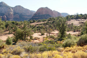 Submarine Rock Trail