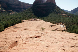 Top of Submarine Rock