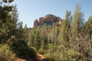 Returning on Submarine Rock Trail