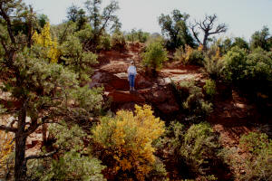 Continued Ascent Broken Arrow Trail