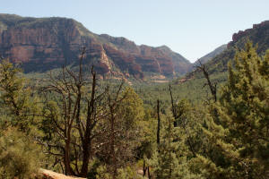 Lees Mountain