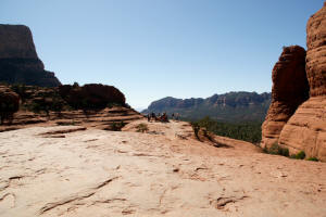 Chicken Point Vista