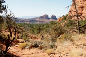 Little Horse Trail