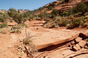 Looking Back - Little Horse Trail