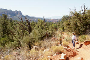 Little Horse trail