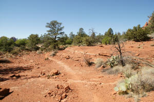 Chapel Trail