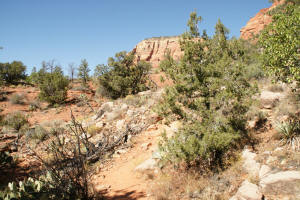 Chapel Trail Sedona Az