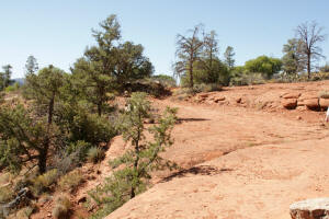 Chapel Trail
