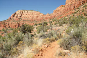 Chapel Trail