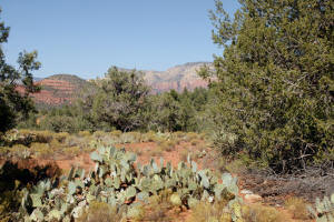 Mystic Trail Sedona Az