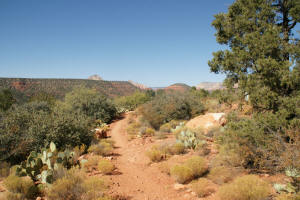 View Sedona Airport Mesa from Mystic Trail