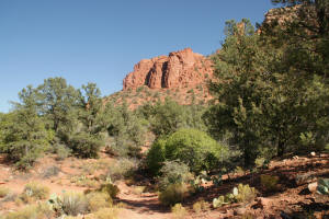 Mystic Trail