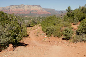 Mystic Trail