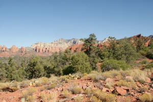 View Northeeast - Mystic Trail