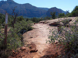 Carines Line The Trail