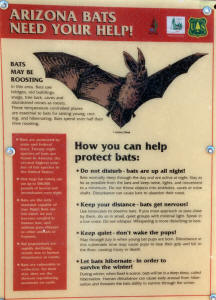 Sinkhole Bat Sign