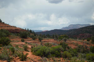 Cathedral Rock Looking Northwest from the base
