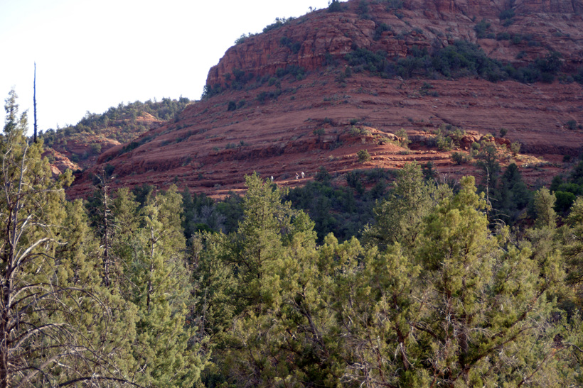 View of Cathedral Rock from the Parking Lot