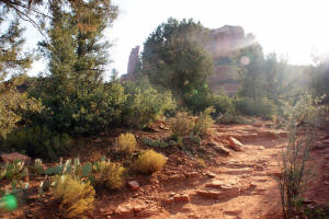 Lower Cathedral Rock Trail