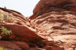 East Fork - Upper Steep Part