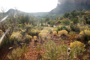Jordan Trail Looking West