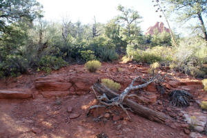 Cibola Pass Trail - Rock Steps