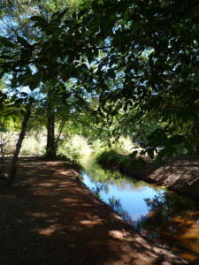 Crescent Moon Spiritual Area Path