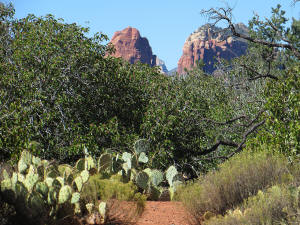Red Rocks - Sedona Arizona