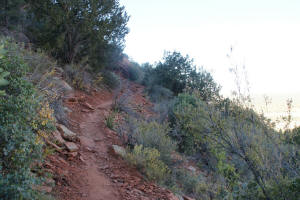 Mid Doe Mountain Trial