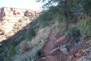 Doe Mountain Upper Trail