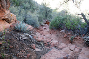 Amost to Top of Doe Mountain