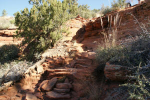 Final climb to top of Doe Mountain