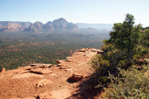 Doe Mountain Top Trail 2