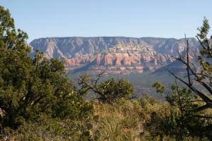 Doe Mountain Top Trail
