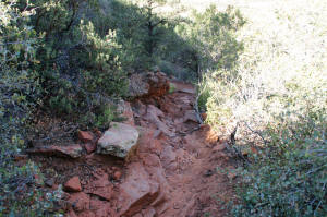 Upper Part of Doe Mountain Trail